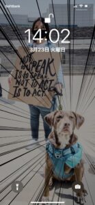 unsplash_9